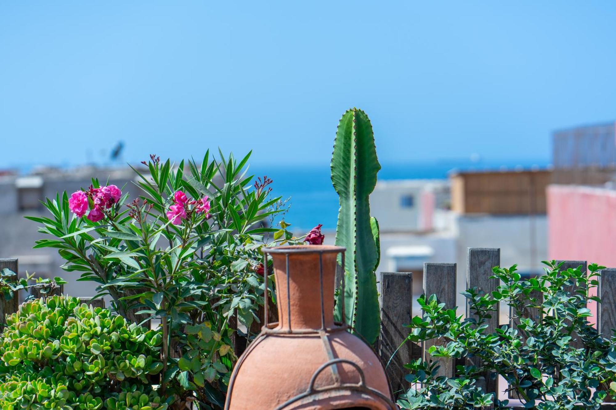 アガディール Anza Surfhouse Bed & Breakfast エクステリア 写真